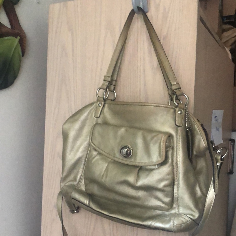 Coach , goldfish leather bag.